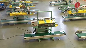 IMS Конвейерные импульсные запайщики мешков